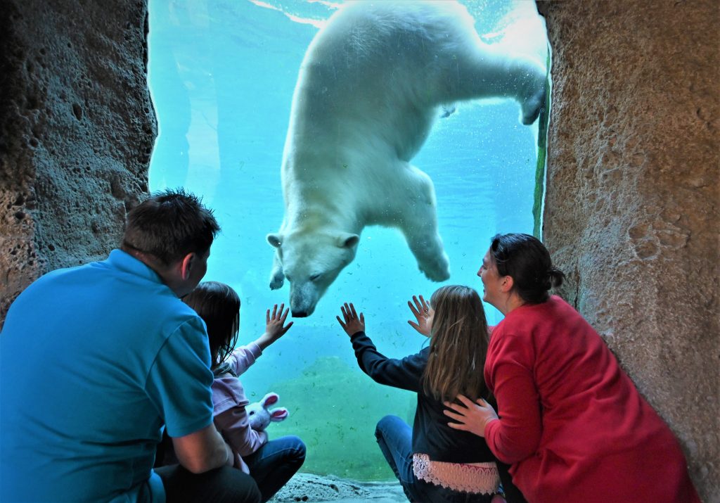 Zoo am Meer